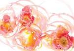 Shams, Saba Rasheed art print