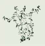 Nina Farrell art print