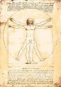 Leonardo da Vinci art print
