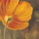 Pierre Viollet art print