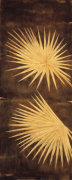 David Parks art print