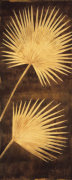 David Parks art print