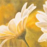 Pierre Viollet art print