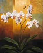 Jill Deveraux art print