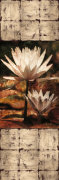 John Seba art print