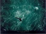 Yann Arthus-Bertrand art print