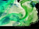 Yann Arthus-Bertrand art print
