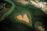Yann Arthus-Bertrand art print