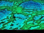 Yann Arthus-Bertrand art print