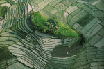 Yann Arthus-Bertrand art print