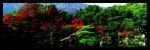 Alain Le Toquin art print
