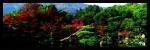 Alain Le Toquin art print