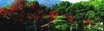 Alain Le Toquin art print