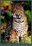 Michel and Christine Denis-Huot art print