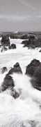 Guillaume Plisson art print