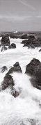 Guillaume Plisson art print