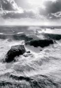 Guillaume Plisson art print