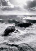 Guillaume Plisson art print