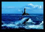 Philip Plisson art print