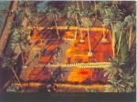 Yann Arthus-Bertrand art print
