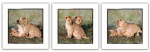 Michel and Christine Denis-Huot art print
