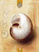 Sabine Gotzes art print