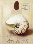 Sabine Gotzes art print