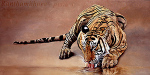 Danielle Beck art print