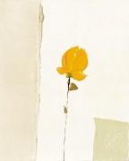 Christian Choisy art print