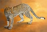 Danielle Beck art print