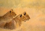 Danielle Beck art print