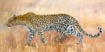 Danielle Beck art print