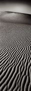 Helmut Hirler art print