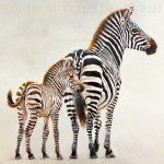 Danielle Beck art print