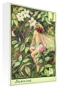 Flower Fairies art print - August - Jasmine Fairy poster