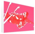 Ex Decko - MA Longbottom art print - Big Air 3 poster
