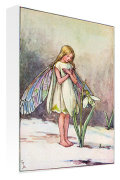 Flower Fairies art print - February - Snowdrop Fairy poster