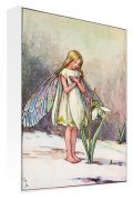 Flower Fairies art print - February - Snowdrop Fairy poster