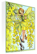 Flower Fairies art print - July - Laburnam Fairy poster