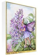 Flower Fairies art print - May - Lilac Fairy poster