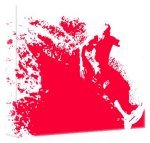 Ex Decko - MA Longbottom art print - Red Spray 2 poster