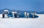 Bluebird at Bonneville art print