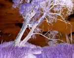 Richard Osbourne art print