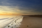Richard Osbourne art print