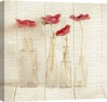Ian Winstanley art print - Anemones in Bottles poster