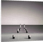 David Fokos art print - East Chop Poles, Oak Bluffs, MA poster