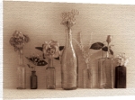 Ian Winstanley art print - Flower Collection poster