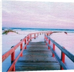 James Randklev art print - Gulf Coast, Florida, USA poster