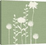 Catherine Aguilar art print - Herb Garden poster