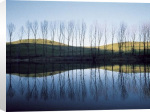 Franco Fontana art print - Lago di San Valentino, Emilia, 1979 poster